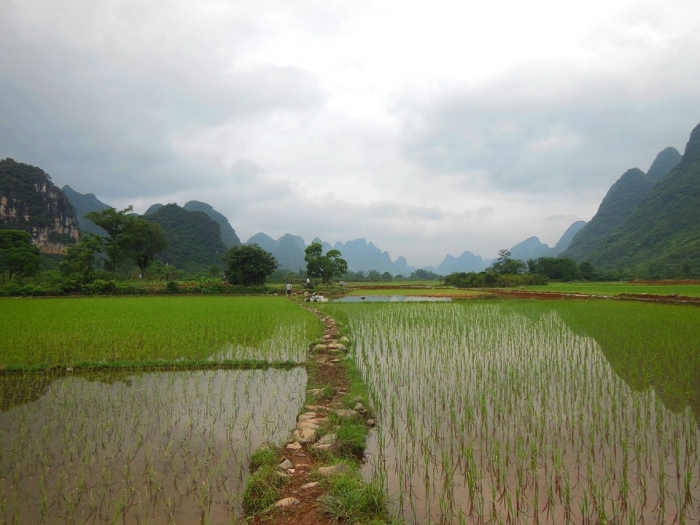 Organic Food Tech In Japan Inspire China